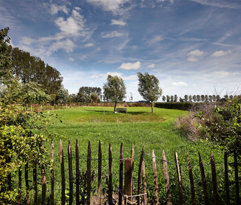 Landseinde - Luxe B&B - infinite nature - Sint-Margriete -  België